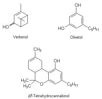 Umsetzung von Vebenol mit Phenolkörpern